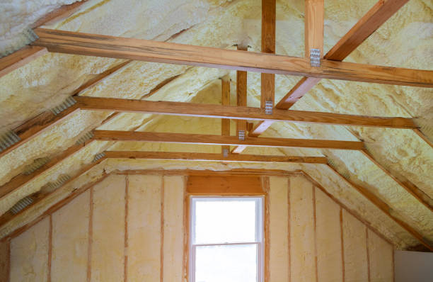 Best Insulation Repair Services  in Russellville, KY
