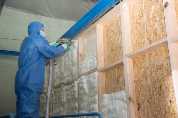 Insulation Inspection Services in Russellville, KY